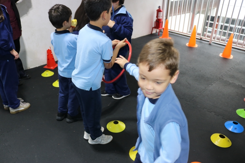 Día de la Actividad Física